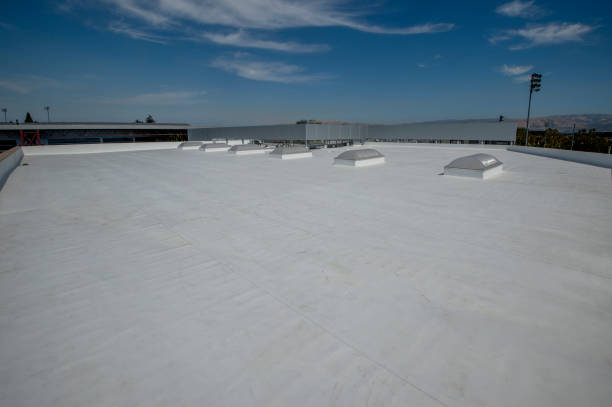 Best Rubber Roofing (EPDM, TPO)  in Montague, MI