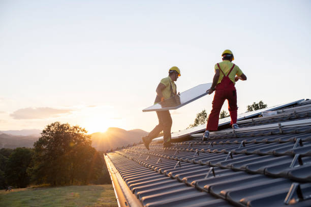 Best Roof Insulation Installation  in Montague, MI