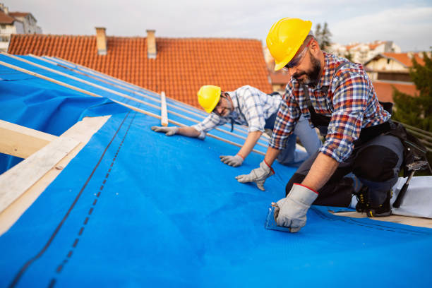 Best Rubber Roofing (EPDM, TPO)  in Montague, MI