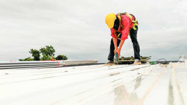 Best Roof Installation  in Montague, MI