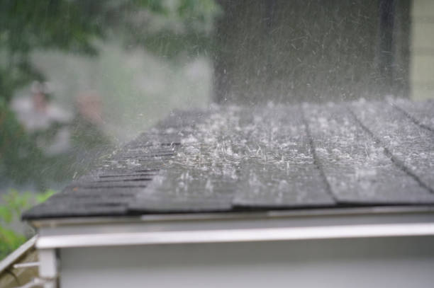 Best Sheet Metal Roofing  in Montague, MI
