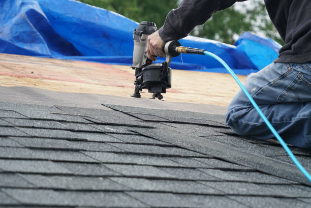 Best 4 Ply Roofing  in Montague, MI