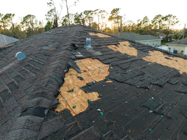 Best Commercial Roofing Services  in Montague, MI