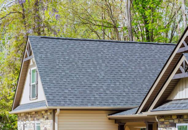 Best Roof Coating and Sealing  in Montague, MI