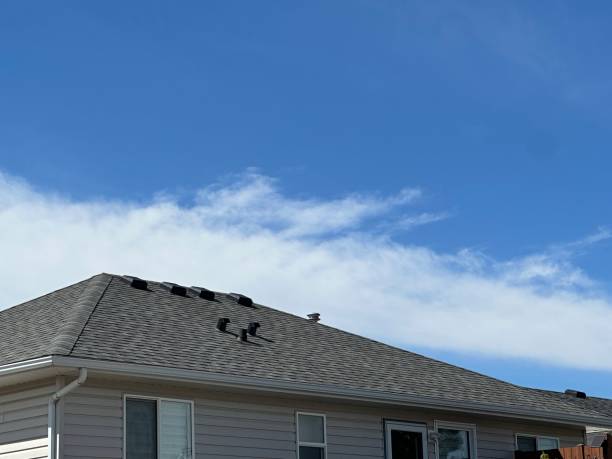 Best Asphalt Shingles Roofing  in Montague, MI